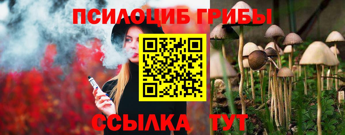 Елец  Псилоцибиновые грибы Psilocybine cubensis  Вход с VPN 