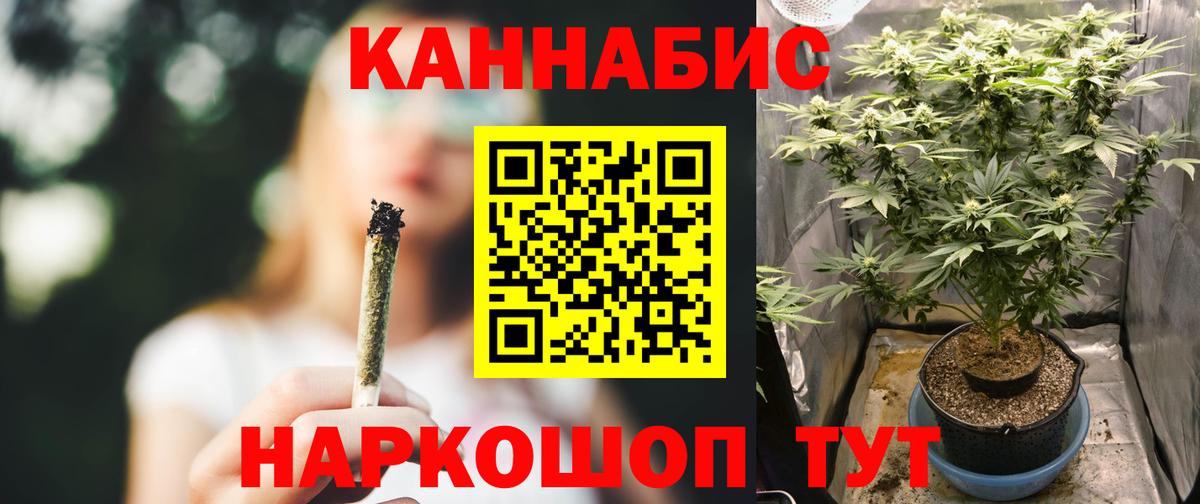 Каннабис семена  Конопля Amnesia  Елец  Вход с VPN  Каннабис гибрид  Каннабис THC 21% 